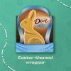 Dove Easter Bunny Milk Chocolate Candy Gift 4.5 oz